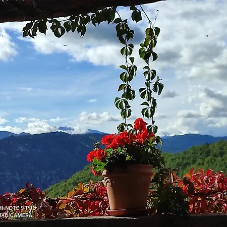 Casa Rural Vilaspasa, Alquiler Integro Guest house