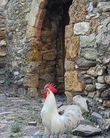 Vendégház Casa Rural Vilaspasa, Alquiler Integro Gotarta