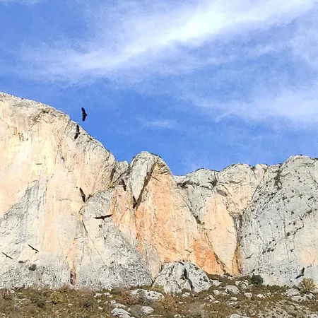 Casa Rural Vilaspasa, Alquiler Integro